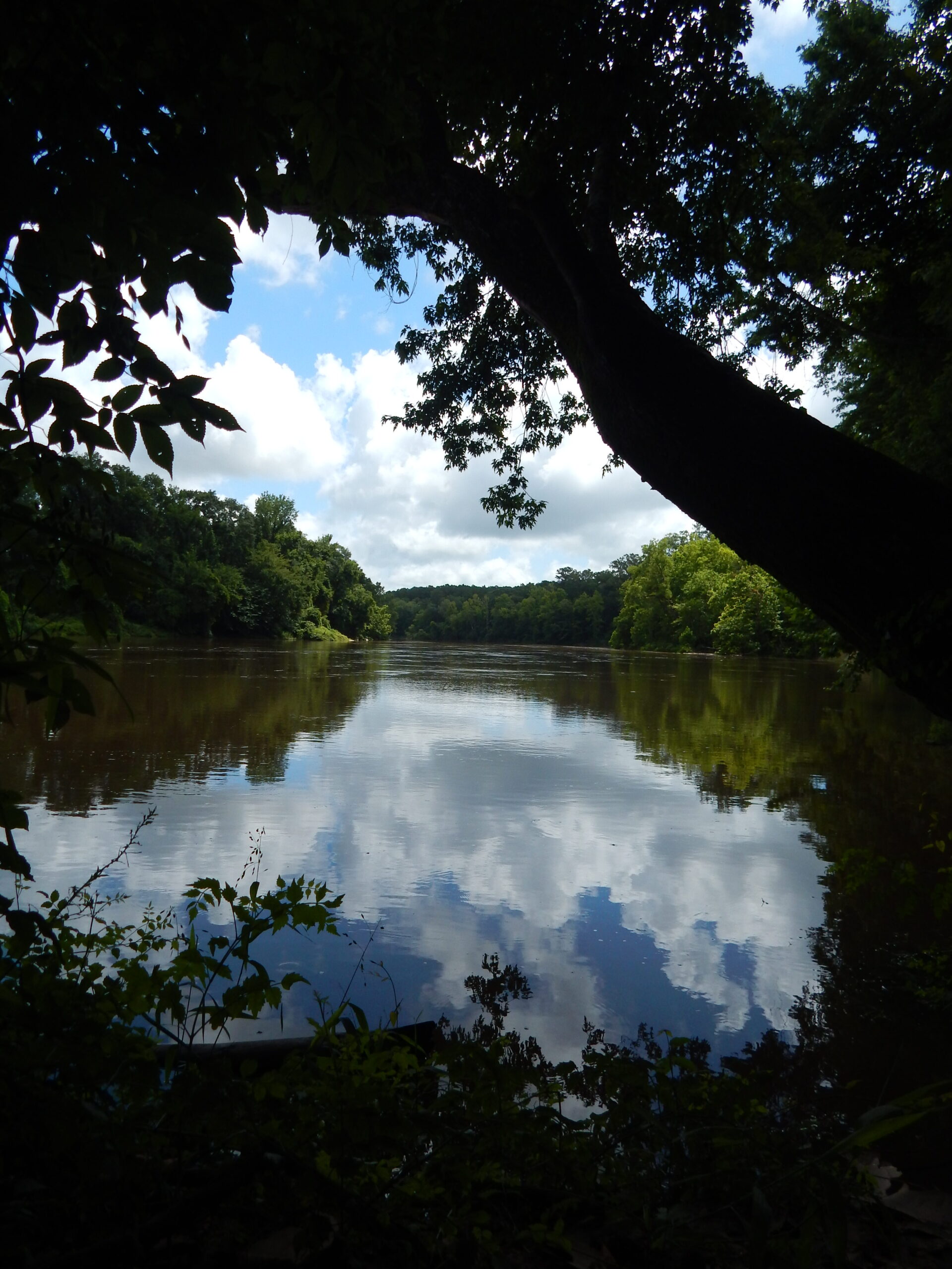 The sky reflecting in a river, with trees in the distance
