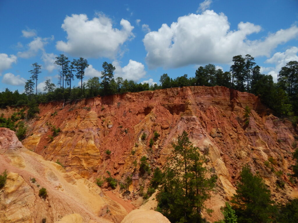 Red Bluff valley in southern Mississippi
